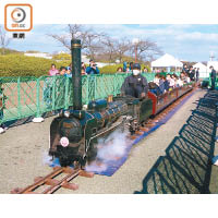 充滿懷舊氣氛的蒸汽火車，最受老電車迷歡迎。