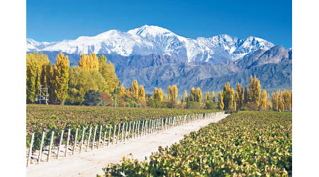 阿根廷境內有平原、高山、森林、草原，更有極寒之地及乾旱大陸，其地貌存在多樣性，令出產的葡萄酒各具特色。