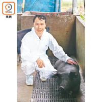 尹偉明先生是英明農場場主，養豬經驗達50載，為成功培養第一批本地黑毛豬的豬農。