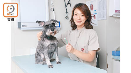 獸醫Seems Tsang表示，想狗狗牙齒健康，就要每天幫牠刷牙。