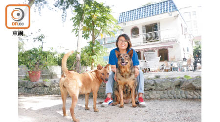 Carmen的居所是狗狗民宿之一，她本身有6隻狗狗，飼養經驗豐富。