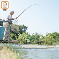 川上農莊設有兩個有機魚塘，由農莊主人親自開墾，每年大約養殖1,000條魚，主要為羅非魚及寶石魚，即場垂釣的有機魚保證新鮮及不受污染。