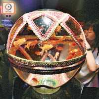 這個圓碌碌的「毛毬rium」魚缸，以昔日日本小孩玩樂用的小皮球為概念。