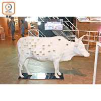 藝術家打造出這隻在西貢游走的牛，希望城市人不忘生態。