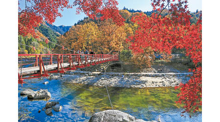 香嵐溪紅葉處處外，景色元素眾多，遠近鏡皆宜。