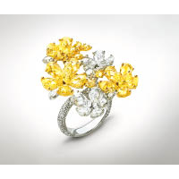 NIRAV MODI Jasmine 18K白金鑲嵌黃鑽石、鑽石戒指 個別定價（D）