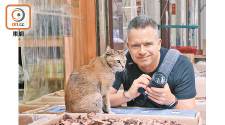 Marcel Heijnen被海味店的貓店長觸動，展開一次「獵貓」行動，以鏡頭瞄準一眾店舖貓，捕捉牠們迷人的動態。