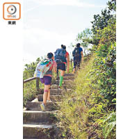 要徒步環遊香港，挑戰崎嶇的山路在所難免。