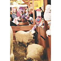 有綿羊和驢仔的小草棚是最受小朋友喜愛的攤位。