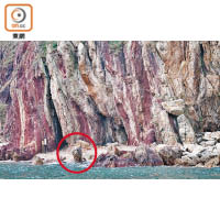 親親自然生態<br>乘船期間，別只顧玩手機，不妨留意一下海岸奇石，隨時有所發現，圖為（紅圈位置）「鬼手岩」。