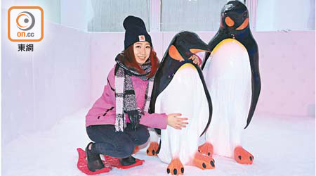 正如香港都可以有雪景，那麼北極熊與小企鵝一同亮相又有幾咁出奇呢！