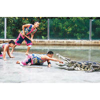 行程包括前往長隆飛鳥樂園欣賞鱷魚表演，必為大家帶來驚喜！