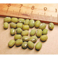 綠豆：味甘，性涼，有清熱、解毒、祛火之功效。常飲綠豆湯能幫助排泄體內毒素，促進細胞正常代謝。