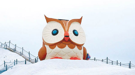 台南七股鹽山繼上年的巨型愛神邱比特後，今年帶來7米高的巨型貓頭鷹擺設。