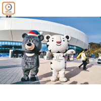 可愛的白老虎Soohorang（圖右）和亞洲黑熊Bandabi是2018冬奧及冬殘奧的吉祥物。