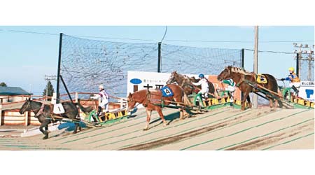 負重競馬賽道上有兩個「障礙」坡道，極考驗馬兒肌肉力量和爆炸力。