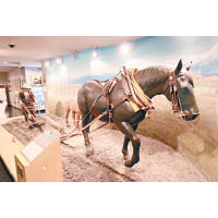 負重競馬策騎的是重1噸的農耕馬，比一般平地賽馬重兩倍有多。
