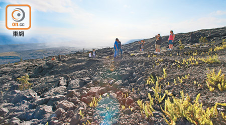 夏威夷島的基拉韋厄活火山不時爆發，帶來了獨特的岩石景觀，吸引不少遊客專程到訪。