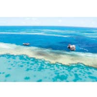 從高空俯瞰珊瑚礁交錯的大堡礁，令人不禁沉醉在一片浪漫夢幻的碧綠淺海。