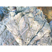 從觀察岩石的紋理，可以推理出不同地質運動的先後次序。