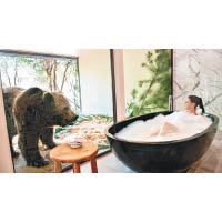 和窗外的棕熊共享洗澡私密時光，肯定夠晒難忘。