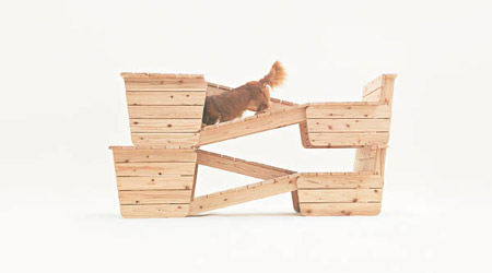 Architecture for Long-bodied-short-legged Dog