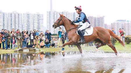 同樂日讓市民有機會近距離接觸馬匹，彭福公園將有專人示範馬術場地障礙賽、越野賽和盛裝舞步。