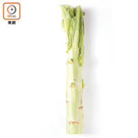 萵筍是菊科萵苣屬的栽培品種，盛產於中國南北各地，其嫩葉和莖均蘊含維生素和微量元素，是營養豐富的蔬菜。