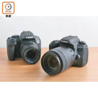 EOS 77D<br>售價：$6,280（淨機）、$7,380（連18~55mm鏡頭）、$9,280（連18~135mm鏡頭）（右）<br>EOS 800D<br>售價：$6,480（連18~55mm鏡頭）、$8,280（連18~135mm鏡頭）（左）