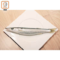 梭子魚<br>特徵：身形細長、魚皮有斑紋，魚嘴尖而短。
