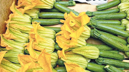 意大利青瓜花不是青瓜也不是花，它屬於南瓜系，是連着花的意大利青瓜。（互聯網圖片）