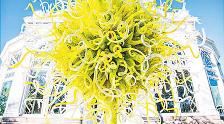 Dale Chihuly作品Citron Sun