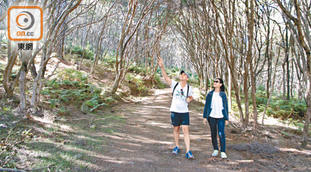 Sven的農莊在大巴里爾島佔了一個山頭，隨其導覽可見識不少該島難得一見的植物。