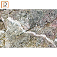 石英網脈<br>液態的石英（二氧化硅）滲入岩石的裂縫，凝固後便形成獨特的紋理。
