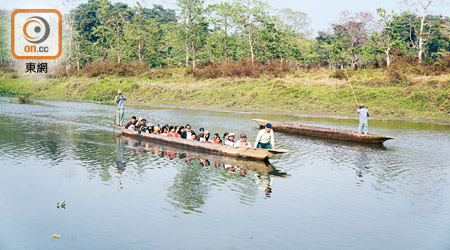 來到奇特旺國家公園，乘坐這款長木舟探索鱷魚是一大熱門行程。