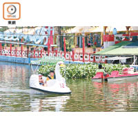 一家大小來到可以玩玩Swan Paddle Boat，二人同心協力邊踩邊在湖區遊覽一番。