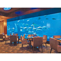 設於聖淘沙S.E.A.海洋館內的海之味餐廳，帶來了如置身海底的用餐感受。