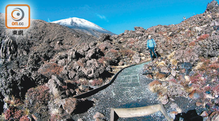 Tongariro Alpine Crossing健行路線攀升300米的一段，需時約40分鐘，幸好有梯級扶助，難度不算太高。