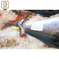 切開魚尾，由專人檢查魚肉的油脂分布，再按情況評級。