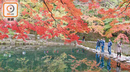 內藏山國立公園有韓國「第一賞楓勝地」的美譽。