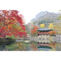 內藏山是韓國一數二的賞楓勝地。