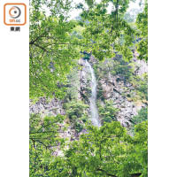 這條80米高的瀑布乃由寺谷先生一手修建，飯後在附近散步，感受自然魅力，叫人身心舒暢。