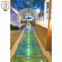 隧道內亦有玻璃地面作裝飾。