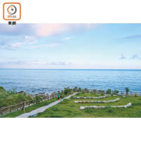 海上古道附近有綠化區域讓人拍照、休息，悠閒地欣賞太平洋的海平線。
