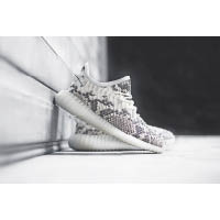 Python版adidas Originals YEEZY BOOST 350 V2（私人訂製）（A）