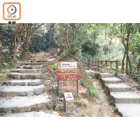 完成紅梅谷自然教育徑後，可選擇走一公里上山到望夫石。