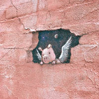 不知道大家可有發現Philomena Pig從紅牆偷望路人呢？