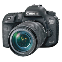 Canon 7D Mark II配備APS-C尺寸感光元件，並支援每秒10張連拍。售價：$12,080（淨機連W-E1 Wi-Fi介面卡）（a）