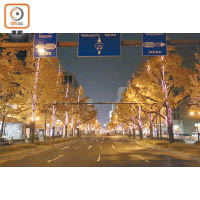 今年的御堂筋彩燈，從梅田大阪駅前的阪神前十字路口開始，一直向南伸到難波車站北面的十字路口。