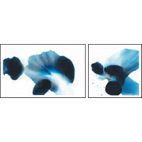 毛栗子今年創作的《花非花》，貫徹藝術家以藍色為主導的作品之一。